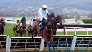 Kargese claims County crown for Mullins and Townend