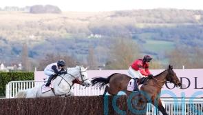 Gentlemansgame thrills Mouse Morris with Gold Cup third