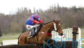 Midlands National glory for Mr Vango and Sara Bradstock