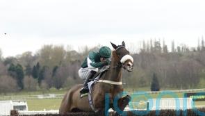 Minella Blueway continues progression at Uttoxeter