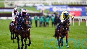 William Munny will now be saved for novice chasing next term