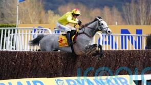 Nicholls eager to test Caldwell Potter’s stamina at Aintree