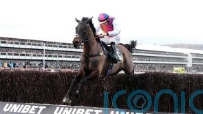 Irish National aim for National Hunt hero Haiti Couleurs