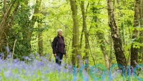 The top 6 benefits of walking for seniors