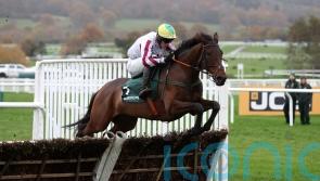 Buddy will bid to go One better in Liverpool this year