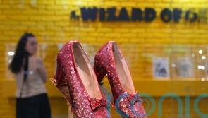 Man accused of hiding stolen Wizard Of Oz ruby slippers has died – prosecutors