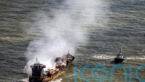 ‘Deep concern’ for wildlife after pellets wash up following two-ship collision