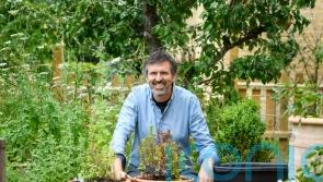 TV gardener Adam Frost: How a smaller garden helped me through burnout and depression
