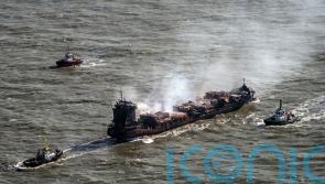 Clean-up operation under way after pellets from ship collision threaten wildlife