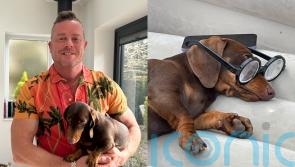 I’m not Ace Ventura, says UK pet detective who’s solved hundreds of cases including dog taken as collateral by landlord