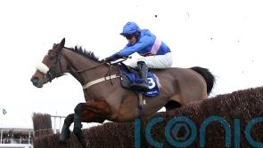 Libberty in the hunt for Punchestown honours