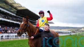 Punchestown and possibly Galway on the radar for Jazzy Matty