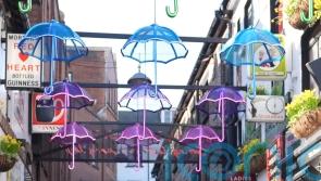 Charles and Camilla commence NI visit with sea shanties and acrobatics