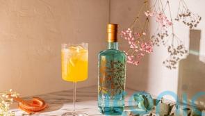 5 seasonal spirits and stylish serves to rustle up now