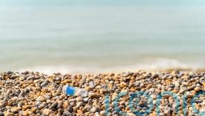 Plastic litter increases by nearly 10% on UK beaches, charity clean-up finds