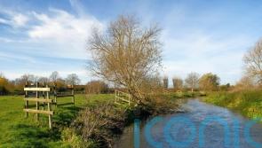 Watchdog to investigate whether Government failed to comply with key water laws