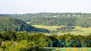 New ‘national forest’ plans for west of England unveiled