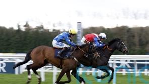 Connections feel Jasmine Bliss can blossom again at Newbury