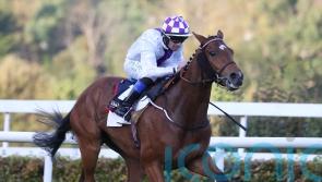 Eastern Legend is rare winner over jumps for Jim Bolger at Navan