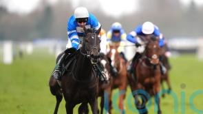 Kadastral impresses for the Skeltons