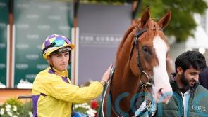 All eyes on Newmarket for Scorthy Champ