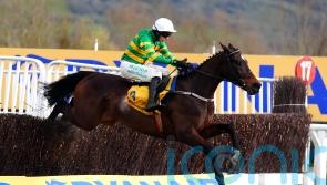 Fact To File could drop back to two miles at Punchestown