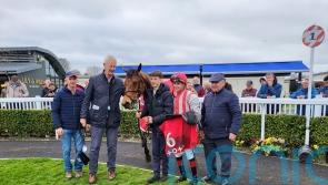 Sunchart shines once more in Naas feature