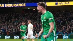 Evan Ferguson on target as Republic of Ireland hit back to beat Bulgaria again
