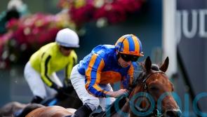 O’Brien expresses Guineas doubts about The Lion In Winter