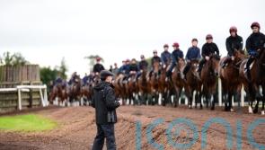 ‘Very quick’ Australian import Storm Boy impressing at Ballydoyle