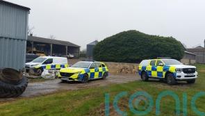 Police appeal after four alpacas and sheep shot dead