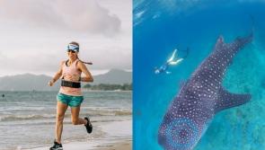 ‘I left my well-paid corporate job in the concrete jungle of Slough to move to Borneo – now I dive with whale sharks’