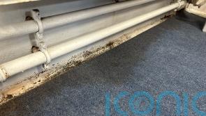 Councils seeing rising number of damp and mould cases, MSPs told
