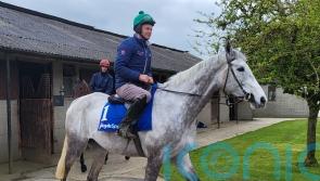 Gibney happy to handle Intense pressure of training National favourite