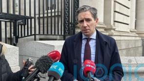Harris discussed Irish surplus with US critic who got figure wrong – spokesman