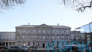 Dail adjourned as Irish government pushes through controversial speaking changes