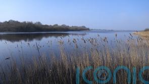 Green finance standards launched to set bar for nature investments