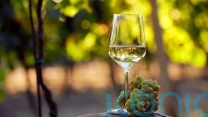 Virgin Wines toasts sharp rise in customers and plots new app launch