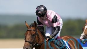 Menuisier snaps up rising star for Toimy Son’s Lincoln challenge