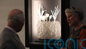 King’s ‘incredible sense of curiosity’ praised during visit to soil exhibition