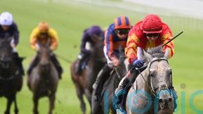 White Birch on course to defend Tattersalls Gold Cup at the Curragh
