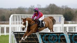 Bob Champion charity to benefit from Grand National day runner