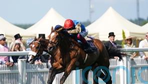 Comeback in sight for Courage Mon Ami