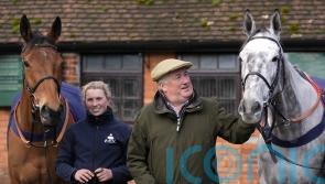 Nicholls relishing prospects of five-strong National squad