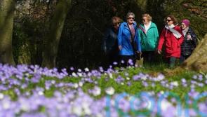 Sunshine and warmth to return to UK for Mother’s Day and into next week