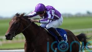 Delacroix set for Ballysax Stakes test