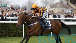 Dancing Gemini shows off winning Mile moves