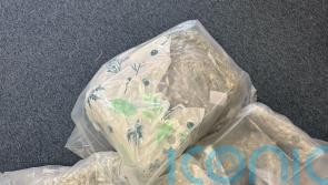 Cannabis worth estimated £425,000 seized after lorry searched