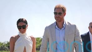 Harry’s ‘toxic brand’ impacted charity he founded in honour of Diana, says chair