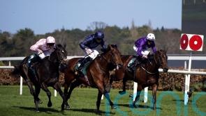 Henri Matisse firmly in Guineas picture following return strike